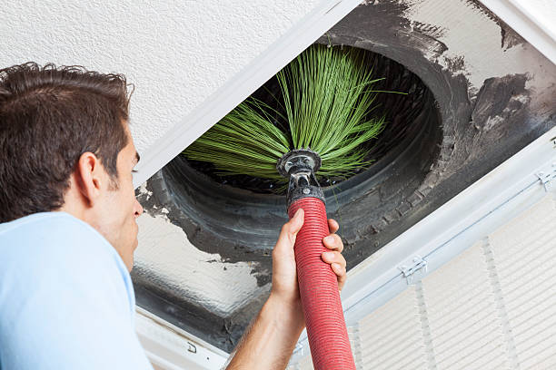 Air Duct Mold Removal in North Randall, OH